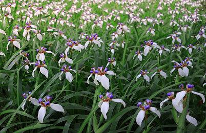 《霍格沃茨之遗》玩家选择不同 将影响角色生活和结局